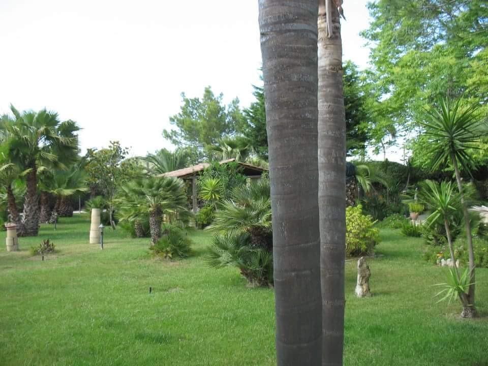 Villa Cecilia มาติโน ภายนอก รูปภาพ